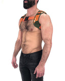 Backup Harness